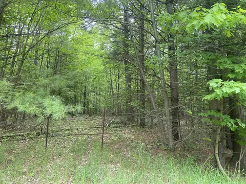 S Poor Farm, Harrisville, MI 48740