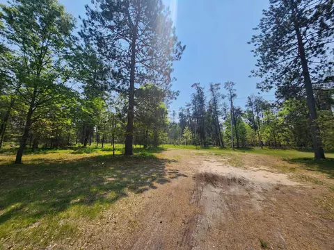 Exterior - 3764 E North Down Riv #LOT : 7, Grayling, MI 49738 photo 8 of 19