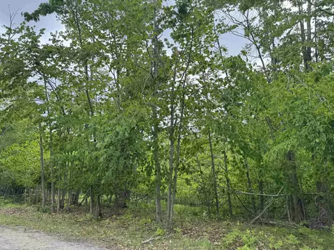 7241 Snow Goose, Gaylord, MI 49735