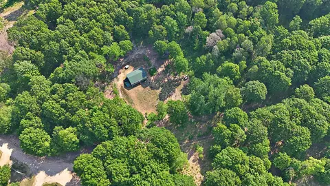 1099 S 7 12, Harrietta, MI 49638