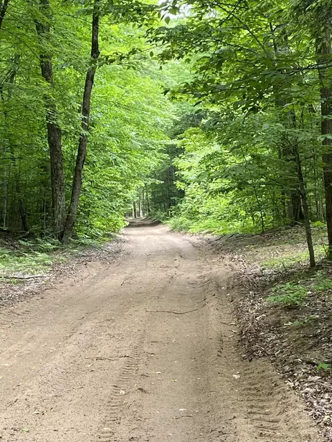 Parcel 3 Stark #: 3, Mancelona, MI 49676