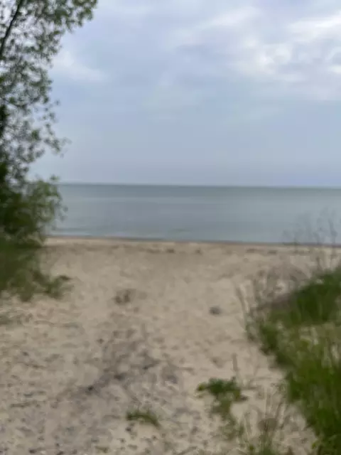 View/Area - 914 S Foster, Au Gres, MI 48703 photo 1 of 1
