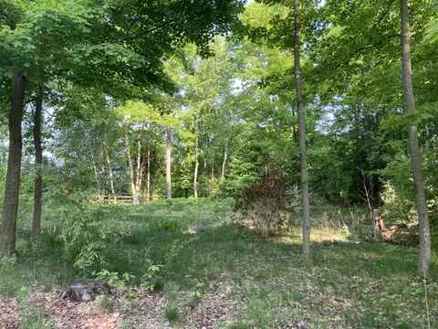 15615 Upper Birch #LOT : 39, Traverse City, MI 49686