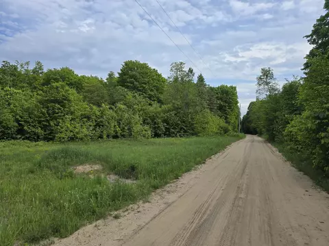20 N Acres Vl N Fawn, Mancelona, MI 49659