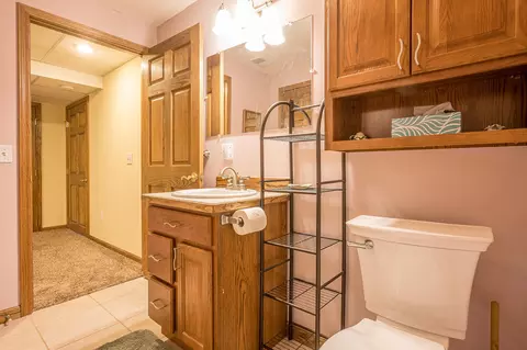 6375 S Isabella, Shepherd, MI 48883 photo 48