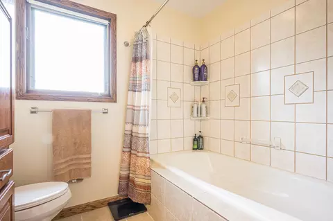 6375 S Isabella, Shepherd, MI 48883 photo 29