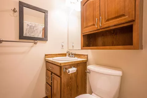 6375 S Isabella, Shepherd, MI 48883 photo 18