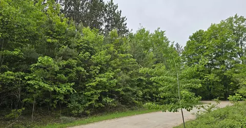 5083 W Golf Hvn, Kalkaska, MI 49646