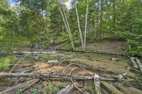 Other - 405 E Shetland, Cedar, MI 49621 photo 1 of 9
