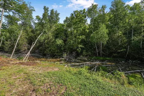 Exterior - 405 E Shetland, Cedar, MI 49621 photo 3 of 11