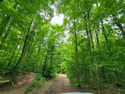 Parcel 4 Stark #: 4, Mancelona, MI 49659