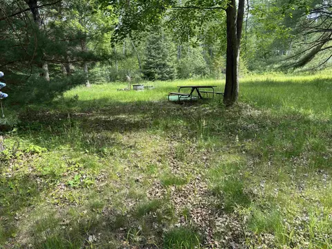 1410 Tall Timber, Prescott, MI 48756