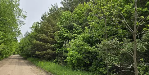 lot25 Hagni, Kalkaska, MI 49646