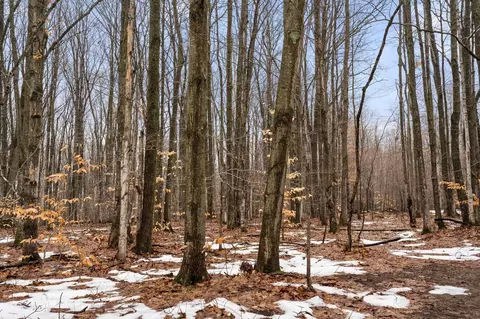 V/L Parcel A Lamerson #: A, Interlochen, MI 49643 photo 5