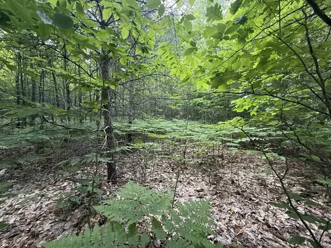 V/L Parcel A Lamerson #: A, Interlochen, MI 49643 photo 14