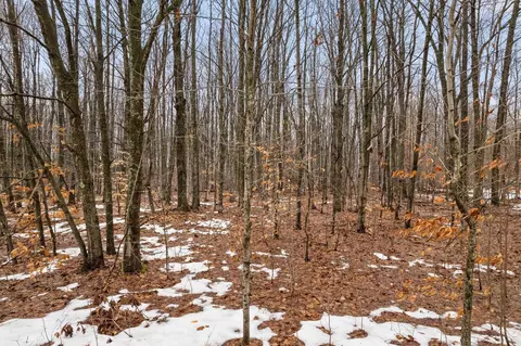 V/L Parcel A Lamerson #: A, Interlochen, MI 49643 photo 16