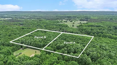 V/L Parcel A Lamerson #: A, Interlochen, MI 49643 photo 10