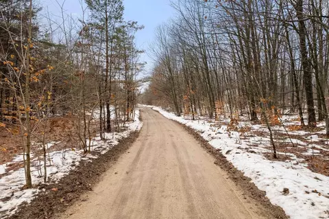 V/L Parcel A Lamerson #: A, Interlochen, MI 49643 photo 4