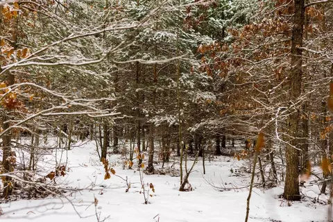 V/L Parcel A Lamerson #: A, Interlochen, MI 49643 photo 23