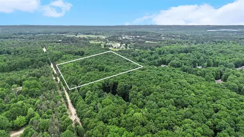 V/L Parcel A Lamerson #: A, Interlochen, MI 49643 photo 13