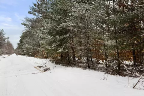 V/L Parcel A Lamerson #: A, Interlochen, MI 49643 photo 20