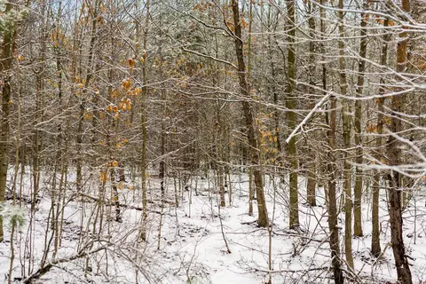V/L Parcel A Lamerson #: A, Interlochen, MI 49643 photo 21