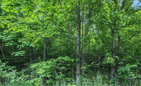 V/L Parcel A Lamerson #: A, Interlochen, MI 49643 photo 7