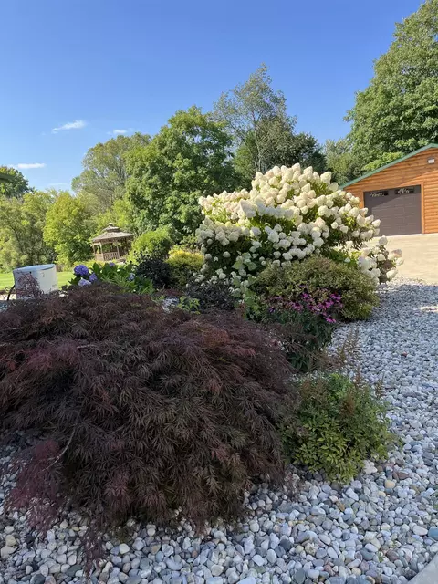 Exterior - 8840 Golfside, Shepherd, MI 48883 photo 11 of 11