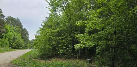 lot24 Hagni, Kalkaska, MI 49646