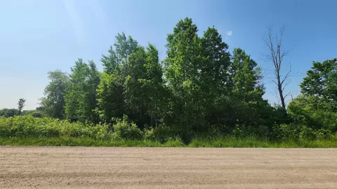 M-65, Whittemore, MI 48770