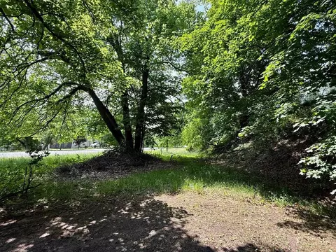 S Cedar, Cedar, MI 49621 photo 6