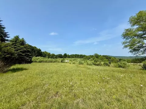 S Cedar, Cedar, MI 49621