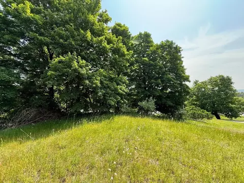 S Cedar, Cedar, MI 49621 photo 3