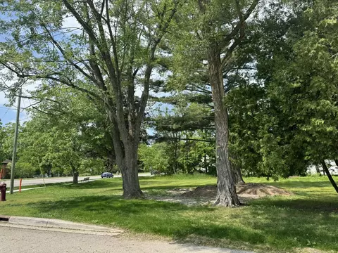 Ames, Elk Rapids, MI 49629 photo 21