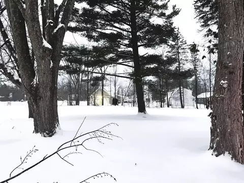 Ames, Elk Rapids, MI 49629 photo 5