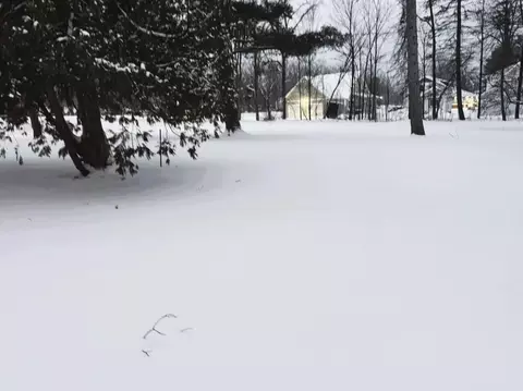 Ames, Elk Rapids, MI 49629 photo 6