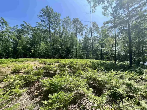 8653 Lakeside, Harrison, MI 48625 photo 12