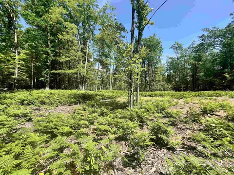 8653 Lakeside, Harrison, MI 48625 photo 5