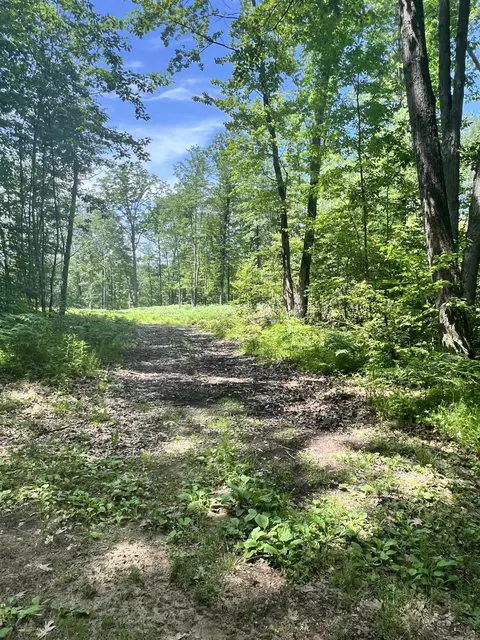8653 Lakeside, Harrison, MI 48625 photo 7