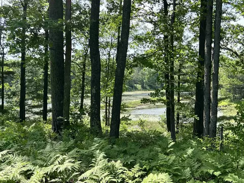 8653 Lakeside, Harrison, MI 48625 photo 2