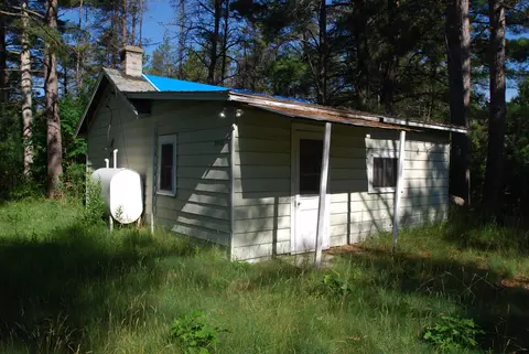 7876 Curley, South Branch, MI 48761