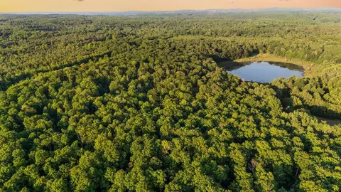 00 Woodland, Traverse City, MI 49684