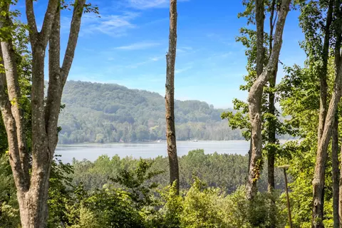 View/Area - 7360 S Upper Orch, Cedar, MI 49621 photo 2 of 8
