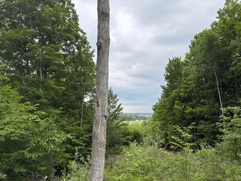 View/Area - 7360 S Upper Orch, Cedar, MI 49621 photo 7 of 8