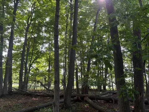 Other - 7360 S Upper Orch, Cedar, MI 49621 photo 18 of 26