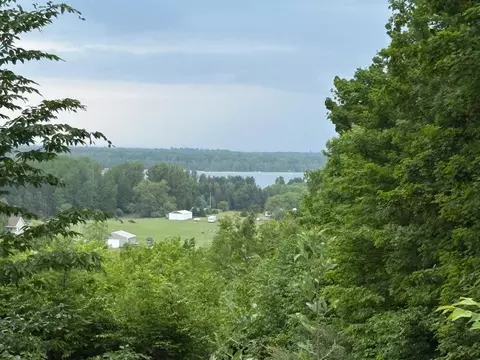 View/Area - 7360 S Upper Orch, Cedar, MI 49621 photo 8 of 8