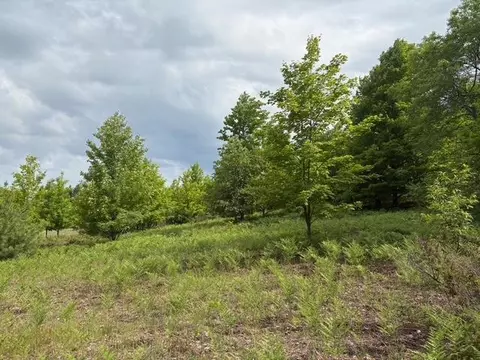 Other - 7360 S Upper Orch, Cedar, MI 49621 photo 24 of 26