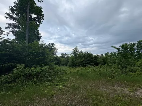 Exterior - 7360 S Upper Orch, Cedar, MI 49621 photo 30 of 31