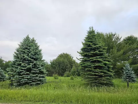00 Decker, Lake City, MI 49651