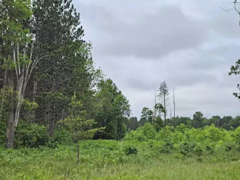 00 Menzies, Lake City, MI 49651